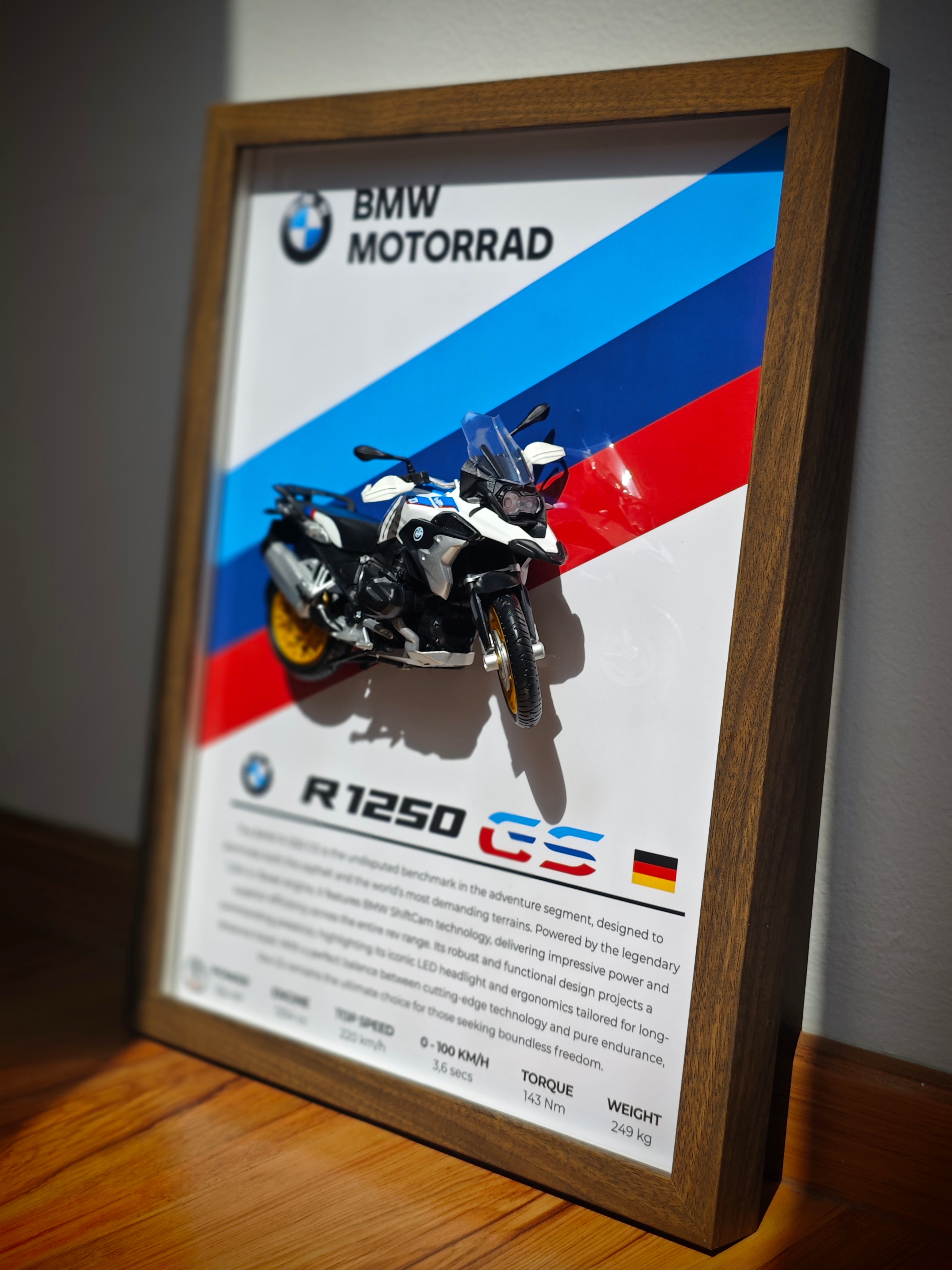 Cuadro en 3D Supermoto BMW R 1250 GS