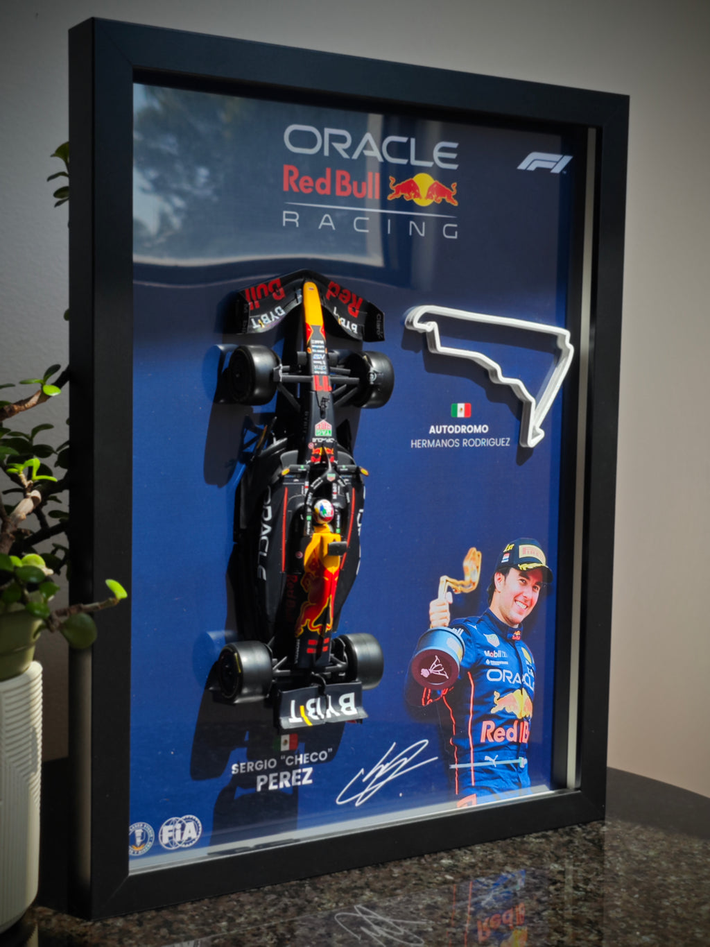 Cuadro decorativo 3D de F1 Sergio (Checo) Pérez
