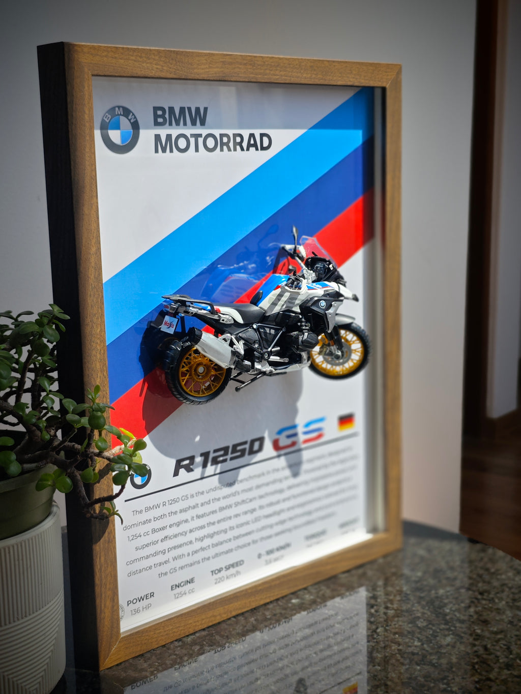 Cuadro en 3D Supermoto BMW R 1250 GS