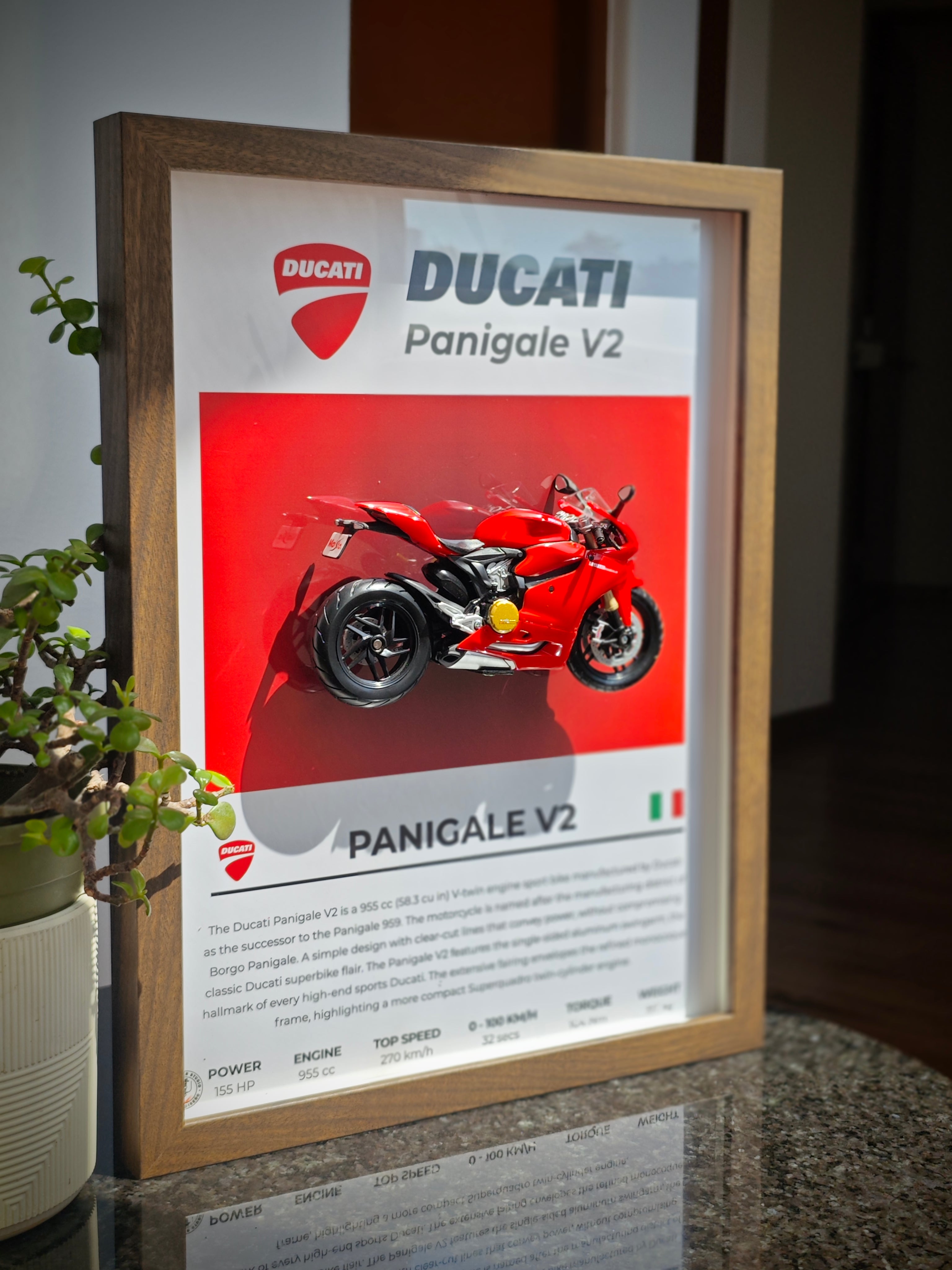 Cuadro en 3D Supermoto DUCATI PANIGALE V2