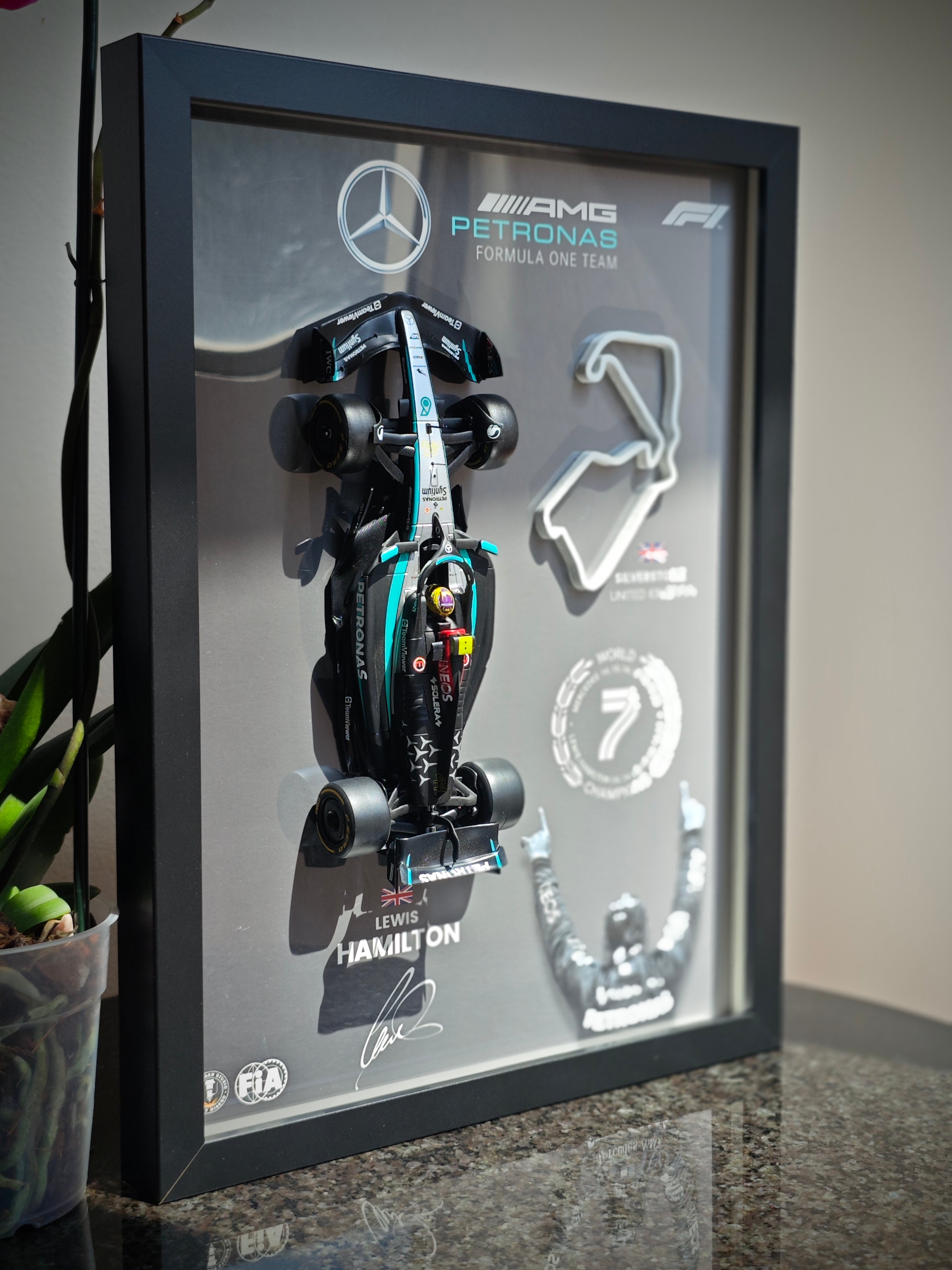 Cuadro decorativo 3D de F1 Lewis Hamilton