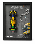 3D Decorative F1 Lando Norris Homage to Ayrton Senna Wall Art