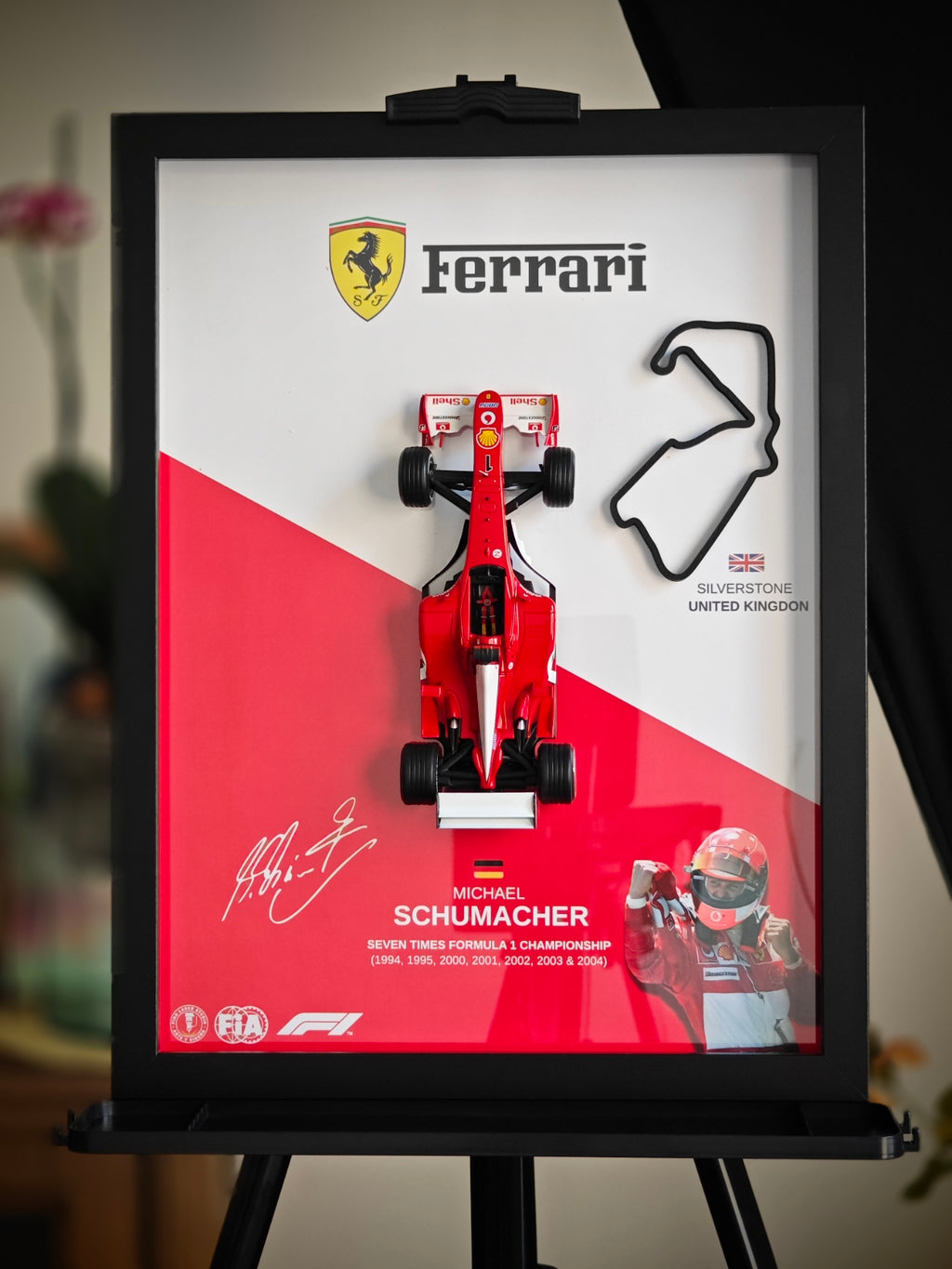 Cuadro decorativo 3D de F1 Michael Schumacher