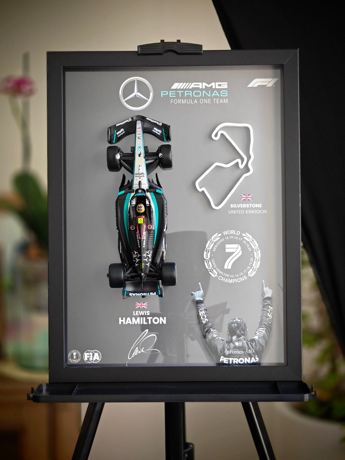 Cuadro decorativo 3D de F1 Lewis Hamilton