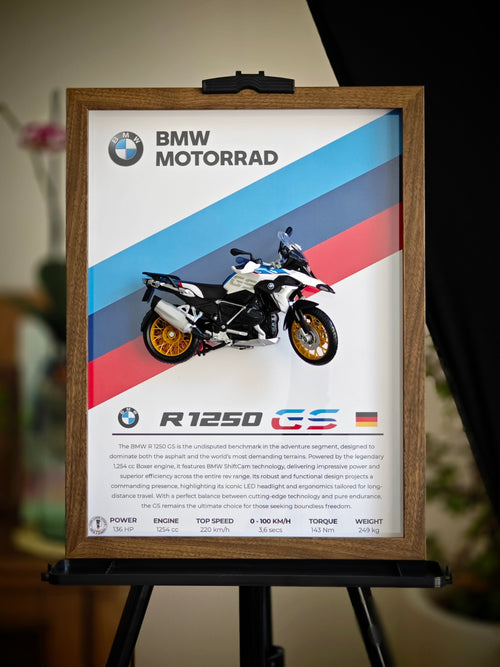 Cuadro Decorativo 3D BMW R 1250 GS