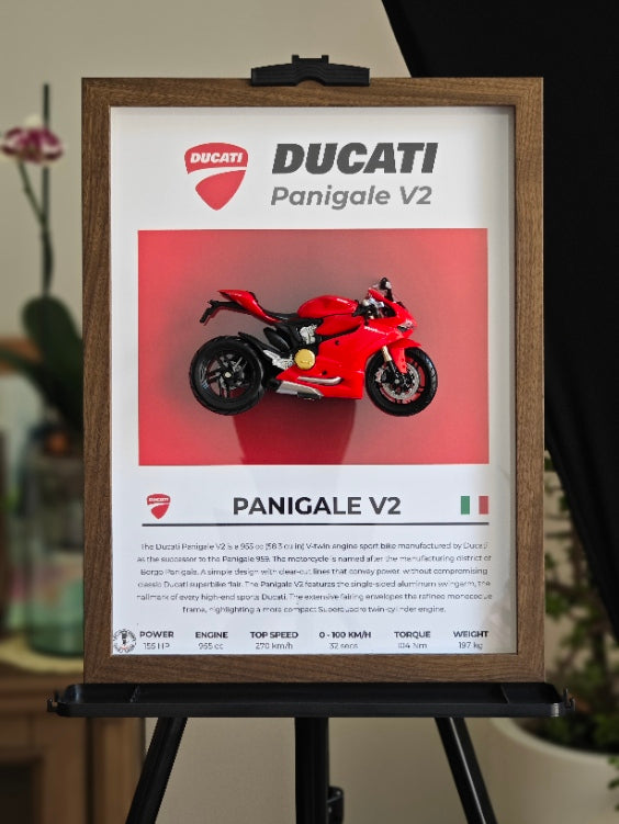 Cuadro en 3D Supermoto DUCATI PANIGALE V2