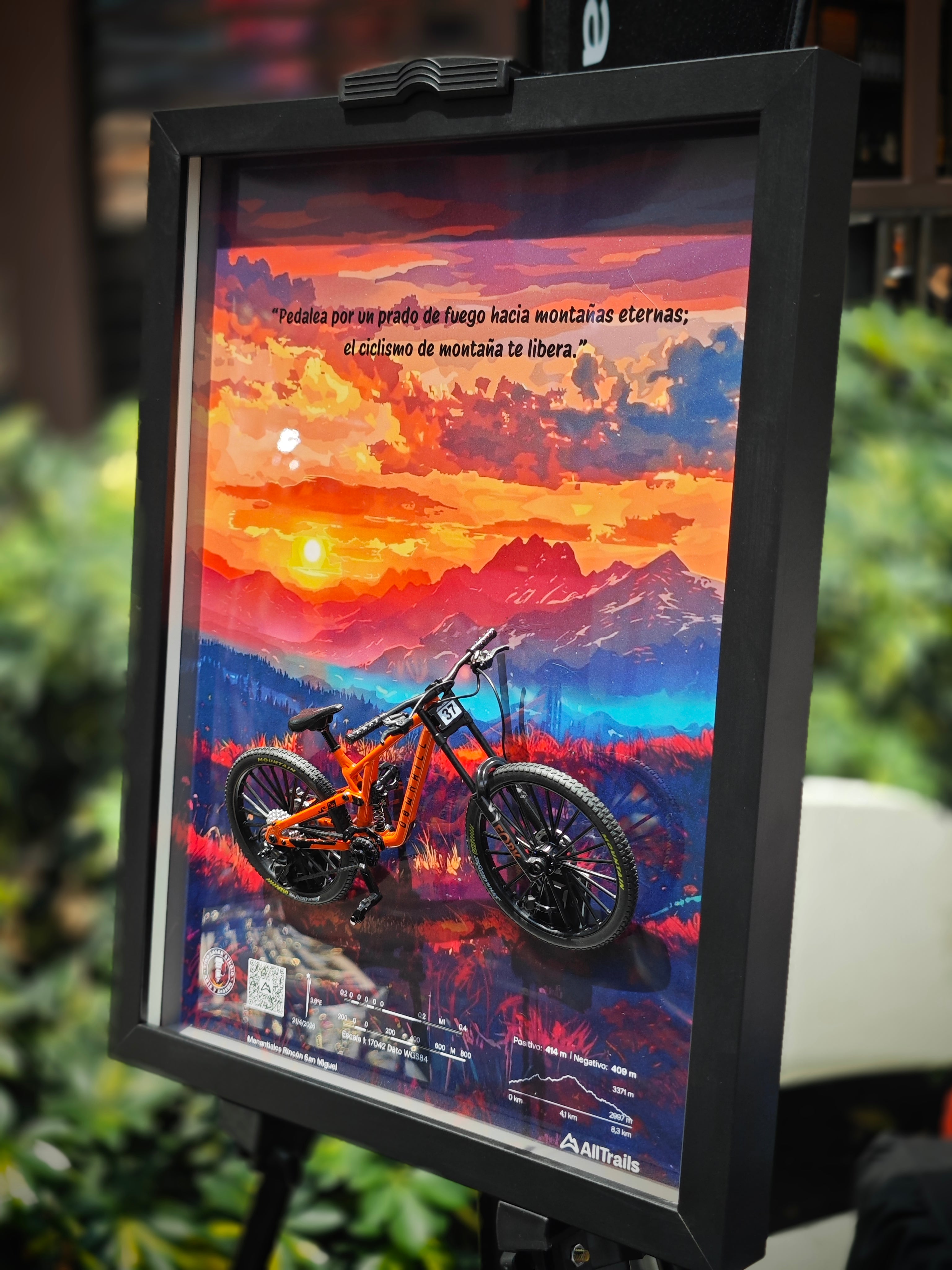 Cuadro en 3D Bicicleta de Montaña “PRADO DE FUEGO”