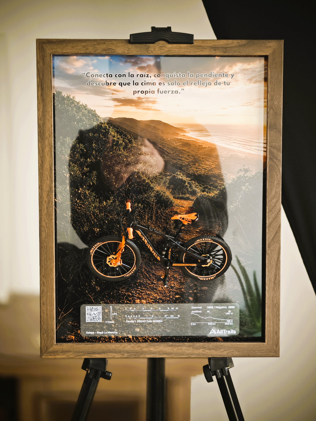 Cuadro 3D Bicicleta de Montaña – Ruta Xalapa – La Mancha