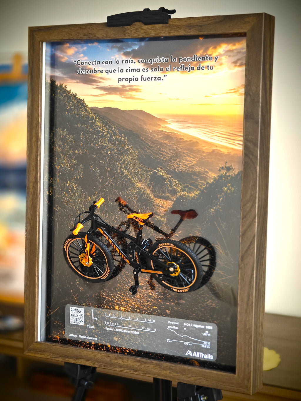 Cuadro 3D Bicicleta de Montaña – Ruta Xalapa – La Mancha
